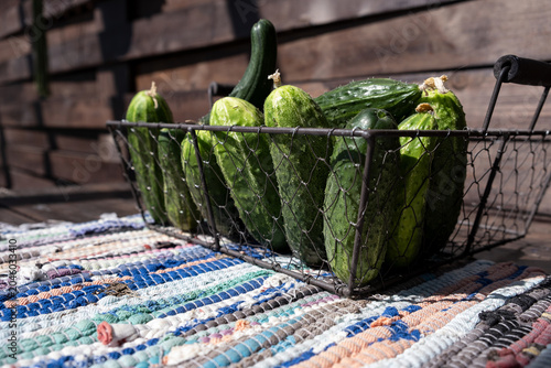 Bild auf Leinwand Freshly Harvested Cucumbers in a Basket on a Rustic Wooden Table Outdoors