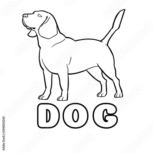 dog with bone