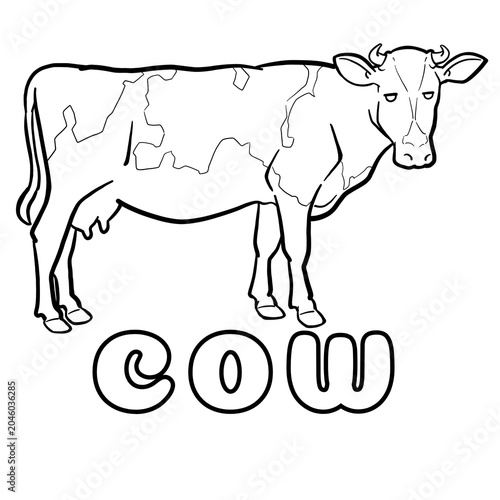 cow and calf