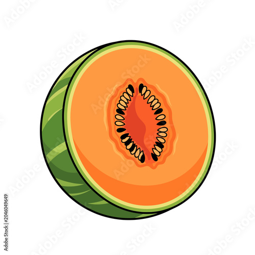Vibrant cross-section illustration of a fresh, ripe cantaloupe melon, showcasing its juicy orange flesh and numerous dark seeds, perfect for healthy eating and summer refreshment designs
