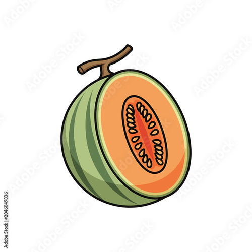 Juicy Cantaloupe Melon Slice Isolated on White Background, Healthy Fruit Illustration