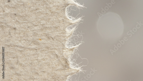 close up of white feathers