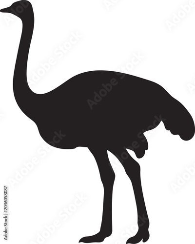 Fotografie Black silhouette of an ostrich standing alone on white background