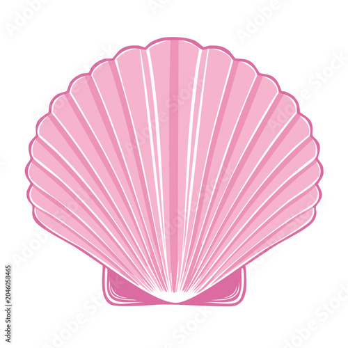 Pink scallop shell illustration