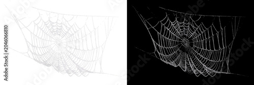 Konstfotografi Creepy stretched spider web vector collection with gothic horror mood, realistic