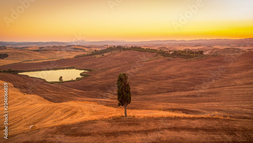 Val d'Orcia in Tuscany, Italy, showing recently harvested fields with their characteristic textured soil patterns and a winding dirt road leading through the hills during the golden hour.
