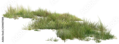 Foto grass on a white background/Ultra-sharp high-detail wild grass patch isolated on a transparent background