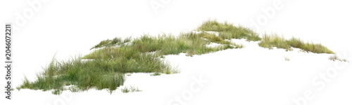 Bild auf Leinwand High-resolution isolated green grass clumps on a pure white background