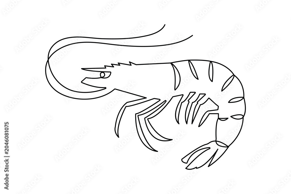 Fototapeta premium Shrimp continuous one line drawing on white background minimalist outline vector illustration
