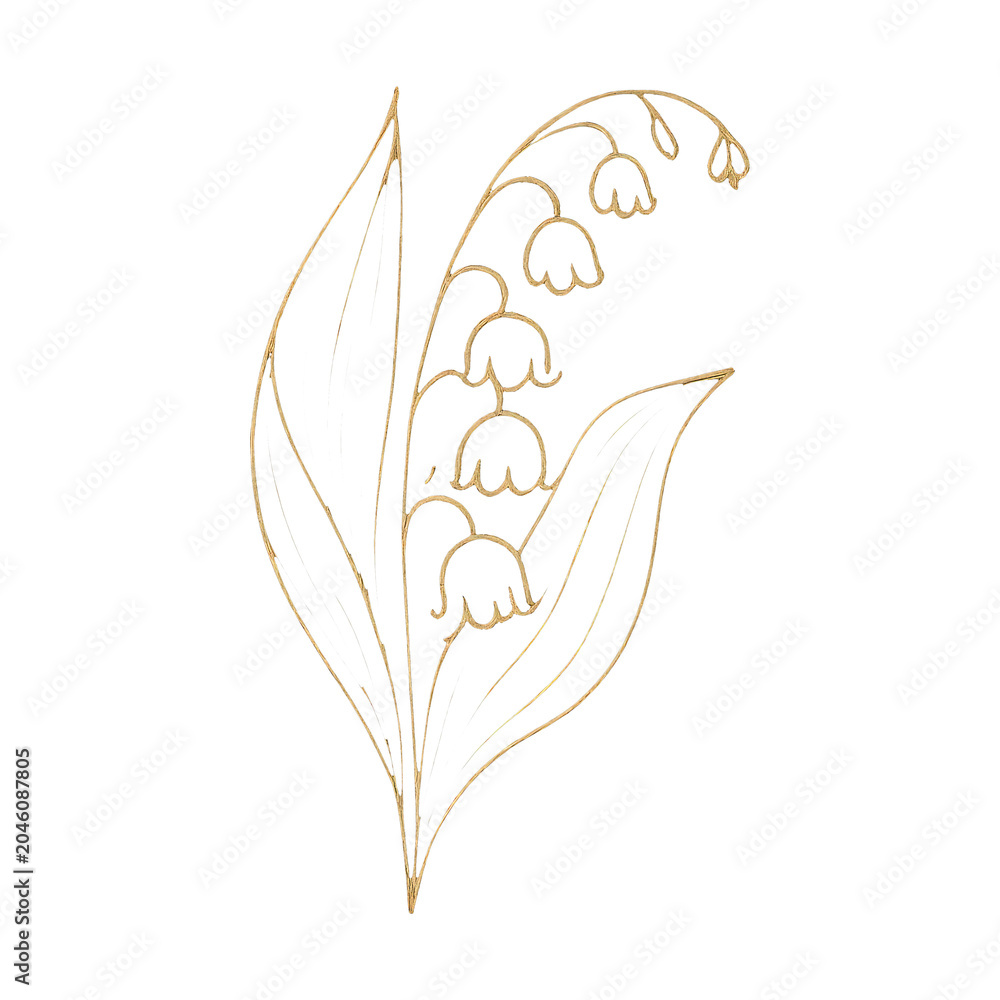 Obraz premium PNG Elegant golden floral line art