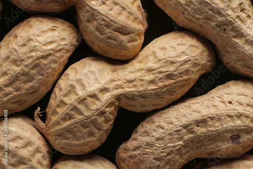 Peanuts with shells close up studio shot over