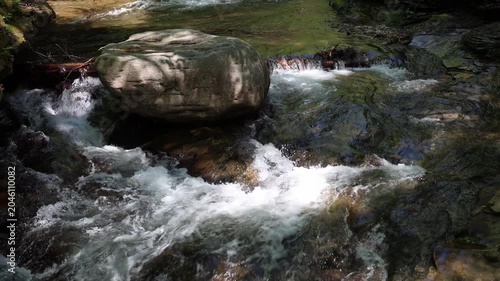 Water flows around a large boulder in a forest stream