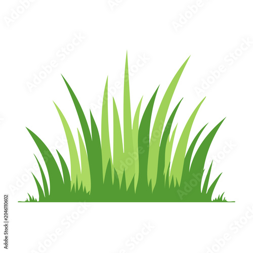 Green grass illustration