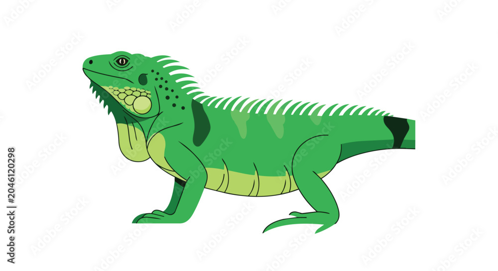 Fototapeta premium Green Iguana Illustration Isolated on White Background Side View Reptile Lizard