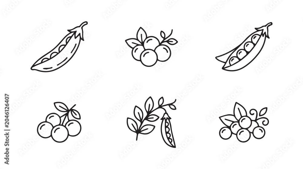 Fototapeta premium Black and white set of peas and berries illustration with hand drawn vegetable illustration botanical agriculture nutrition vegetarian culinary