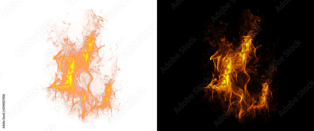 Fototapeta premium Realistic fire flame burst on black and white background, glowing orange campfire sparks, intense heat and combustion effect for compositing