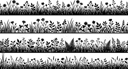 Foto blacksilhouetteofvariousgrassandflowersonwhitebackground