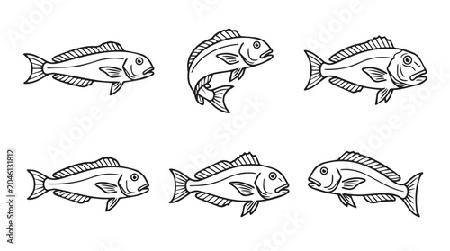 Set of sketch-style marine snapper fish illustrations with wildlife handdrawn illustration collection monochrome isolated swimming ichthyology underwater environment ecosystem culinary