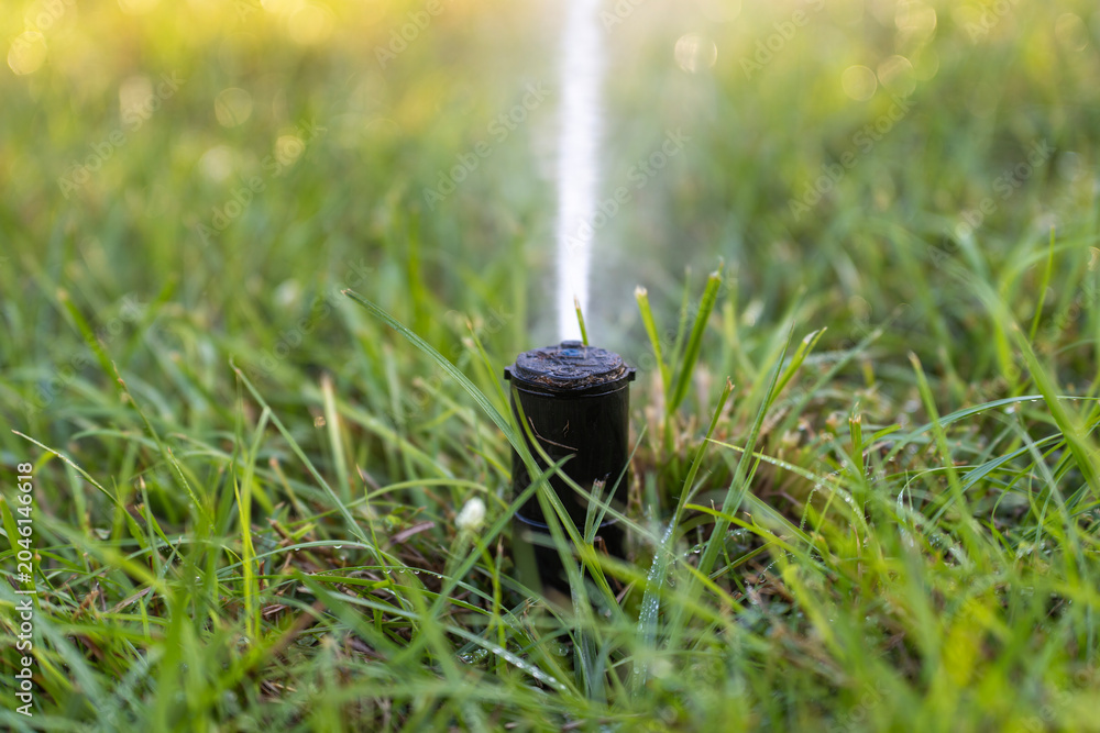 Obraz premium Automatic irrigation system with water sprinkler for maintaining grass lawn