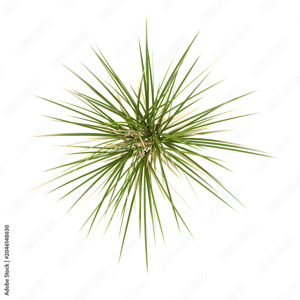 Fototapeta premium Isolated grass on canvas from the top view