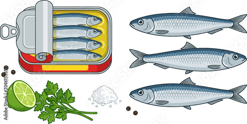 Canned Sardines Tin and Fresh Fish Vector Illustration Set with Lime Parsley Sea Salt and Pepper for Seafood Grocery Store Designs
