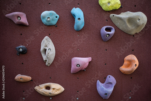 Colorful climbing holds on a burgundy indoor climbing wall, bouldering gym background