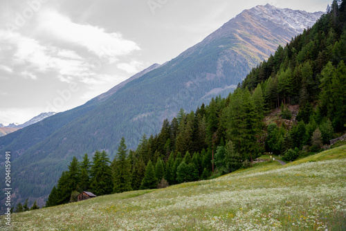 Berge