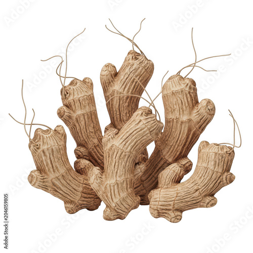 A cluster of ginger roots with thin, hair-like extensions on a white background.