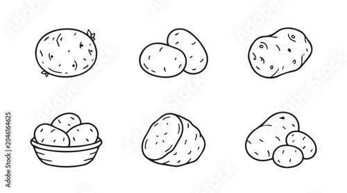 Set of hand drawn potato vegetable illustrations with vegetable ingredient agriculture vegetarian handdrawn illustration monochrome isolated collection culinary nutritious