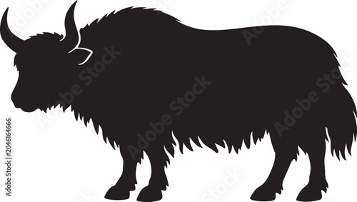 walrus vector