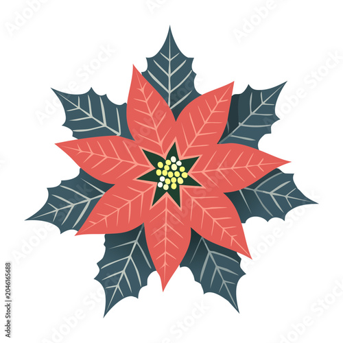 Flat design poinsettia flower with holly leaves