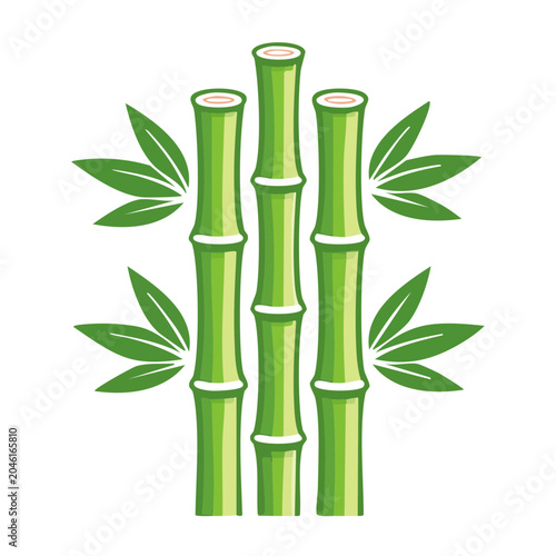 Green bamboo stalks with leaves, flat design illustration