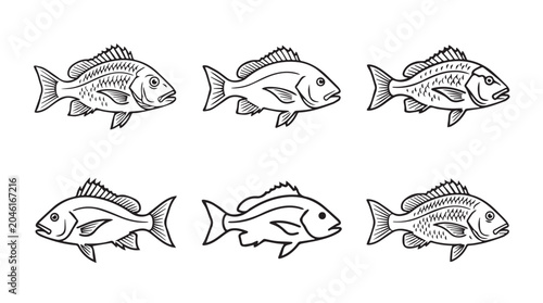 Set of detailed fish line art drawings for fishing and marine concepts with wildlife monochrome isolated background illustration collection swimming creature underwater predator ichthyology