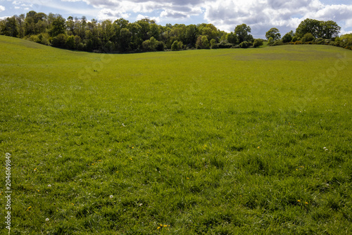 Countryside - Rocherfort - Yvelines - Ile-de-France - France