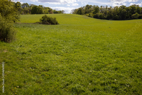 Countryside - Rocherfort - Yvelines - Ile-de-France - France
