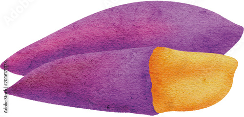 Grilled sweet potato Watercolor Illustration