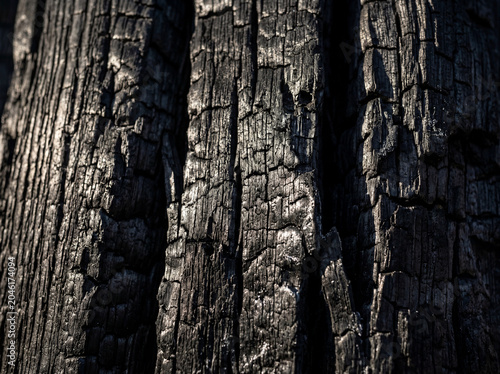 Shou Sugi Ban Charred Wood Texture — Japanese Burned Cedar Grain Pattern