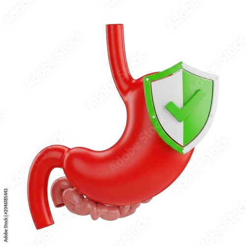 Protected stomach with green shield and checkmark