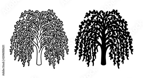Tableau sur toile Weeping Willow Tree Vector Icons, Black and White Silhouette, Nature Plant Graph