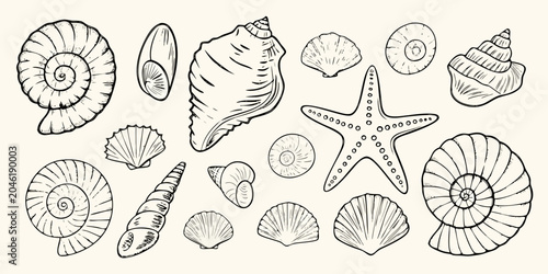 Bild auf Leinwand Seashell Collection Hand Drawn Sketch Style Illustration
