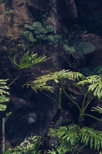 tropical background with waterfall