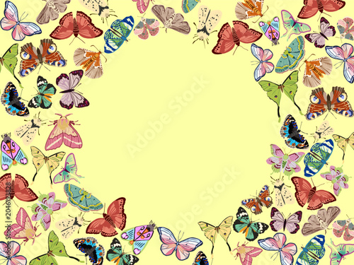 Butterfly Frame Background with Empty Circle Space Vector Illustration