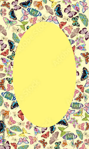 Butterfly Frame Background with Empty Circle Space Vector Illustration