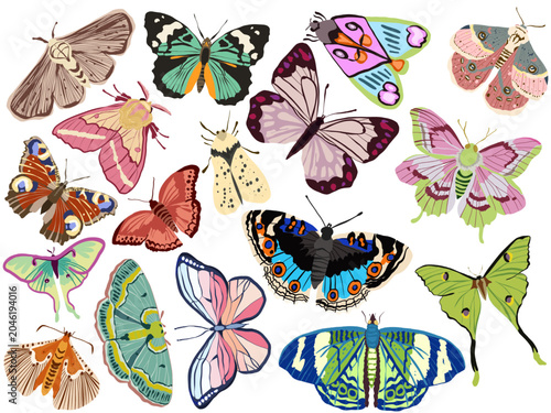 Colorful Butterflies and Moths Collection Vector Set