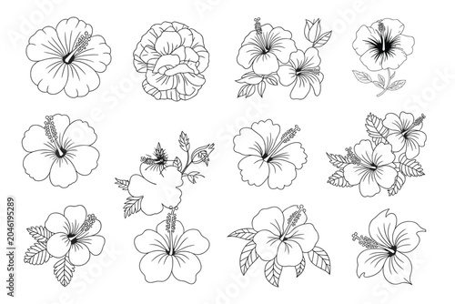 Εκτύπωση καμβά Hibiscus flower collection black and white vector silhouettes White Background