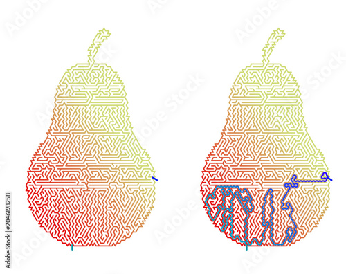 Pear-Shaped Maze Puzzle with Solution – Labyrinth in Fruit Form with Answers on White Background