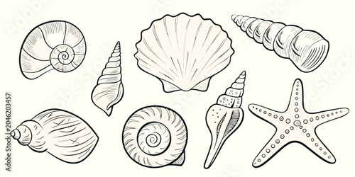 Foto Collection Of Seashells And Starfish In Sketch Style