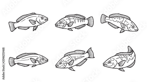 Collection of hand-drawn fish sketches in different swimming poses with underwater wildlife handdrawn monochrome swimming ichthyology collection isolated background illustration creature