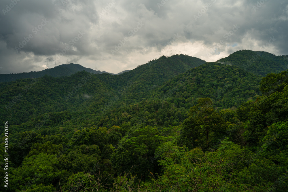 Obraz premium Lush green mountains covered with mist and clouds, creating a dramatic natural landscape.