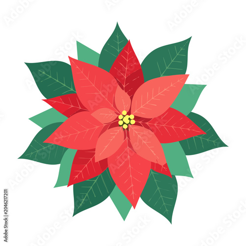 Red Poinsettia Flower Illustration